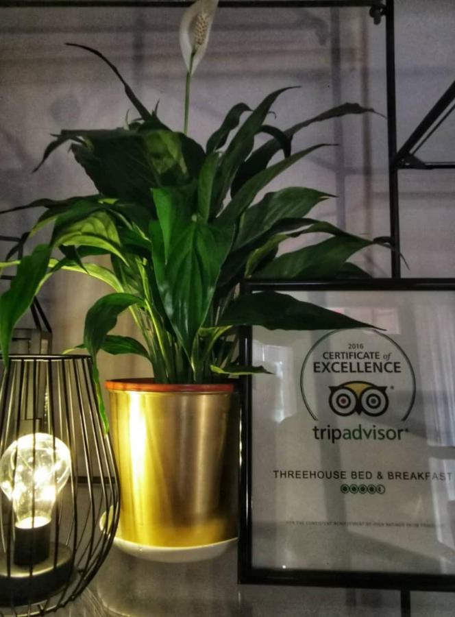 Treehouse Hostel 쿠칭 외부 사진